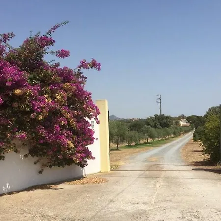 Sa Perdera
