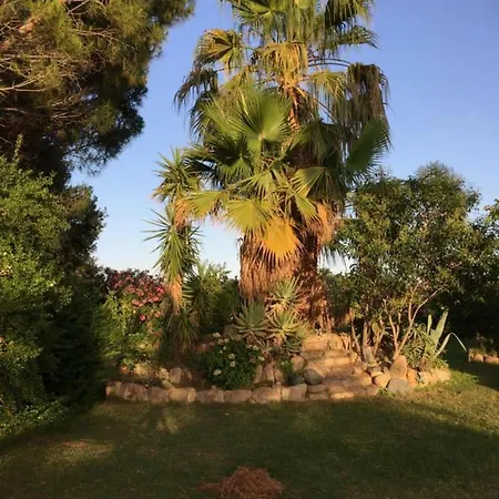 Maison d'hôtes Sa Perdera